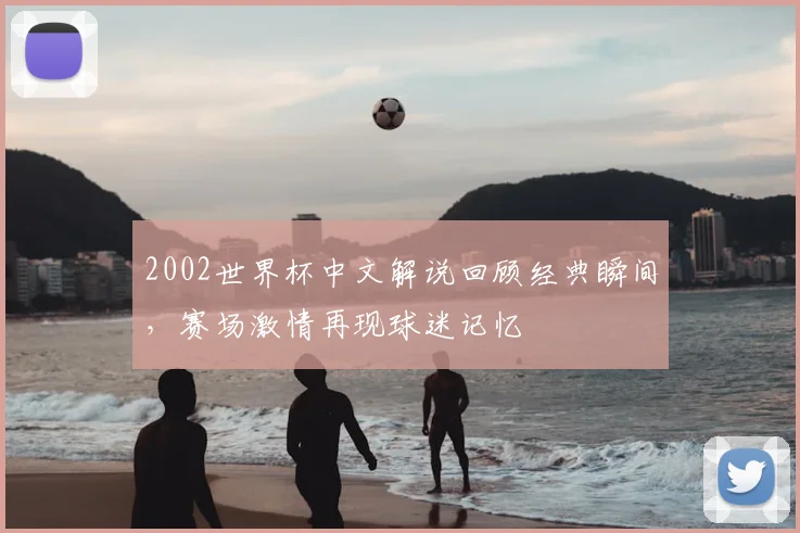 2002世界杯中文解说回顾经典瞬间,赛场激情再现球迷记忆