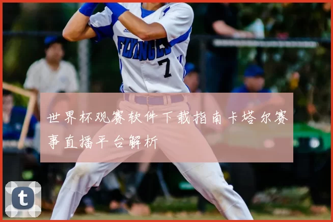 世界杯观赛软件下载指南卡塔尔赛事直播平台解析