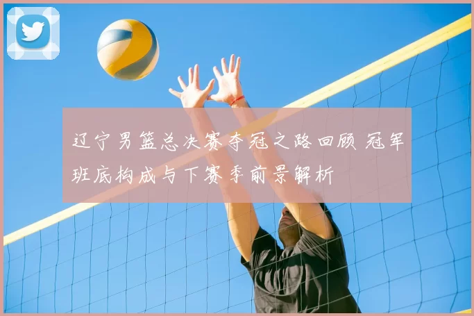 辽宁男篮总决赛夺冠之路回顾 冠军班底构成与下赛季前景解析