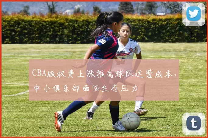 CBA版权费上涨推高球队运营成本，中小俱乐部面临生存压力