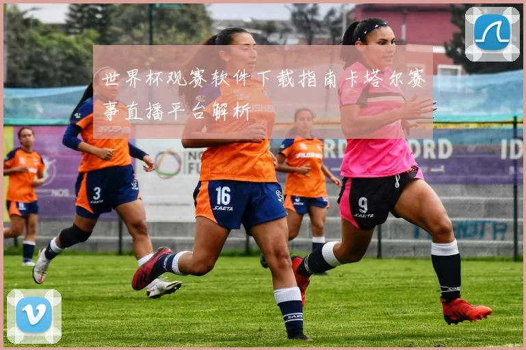 世界杯观赛软件下载指南卡塔尔赛事直播平台解析