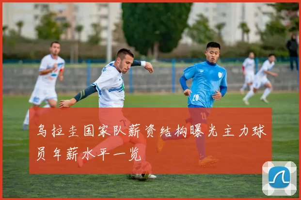 乌拉圭国家队薪资结构曝光主力球员年薪水平一览